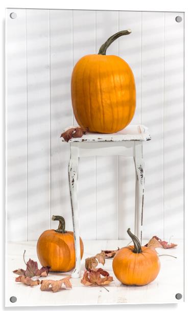 Thanksgiving Pumpkin Display Acrylic by Amanda Elwell