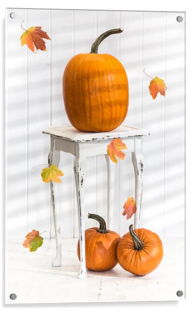 Pumpkins For Thanksgiving Acrylic by Amanda Elwell