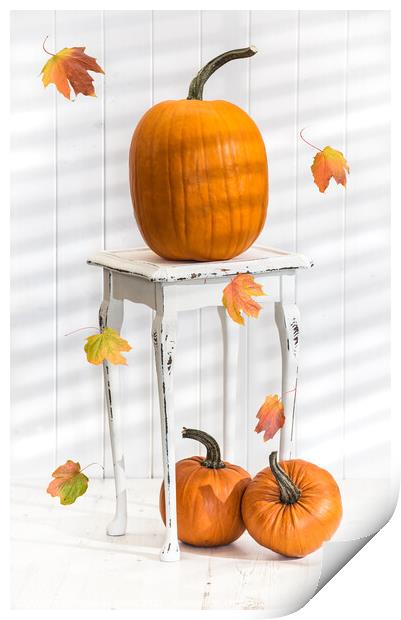 Pumpkins For Thanksgiving Print by Amanda Elwell