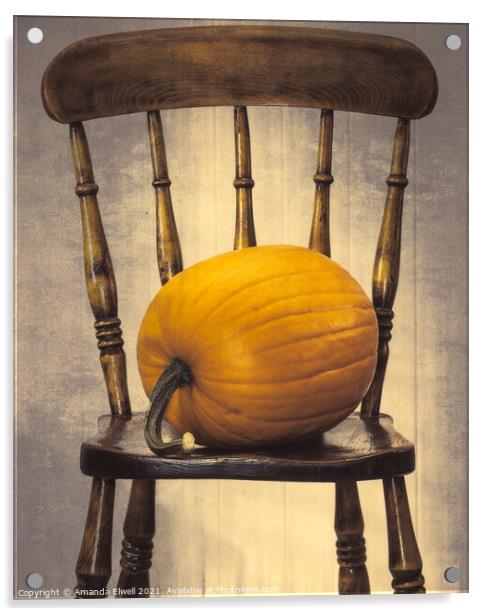 Pumpkin On Chair Acrylic by Amanda Elwell