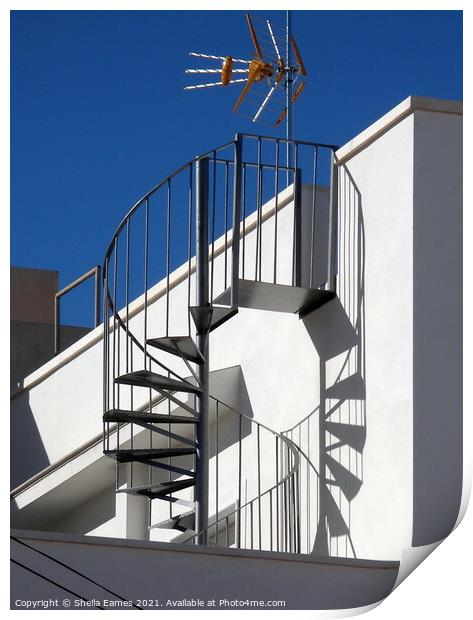 Spiral Staircase and Shadow Print by Sheila Eames