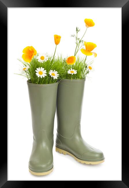 Wellington Boots Framed Print by Amanda Elwell