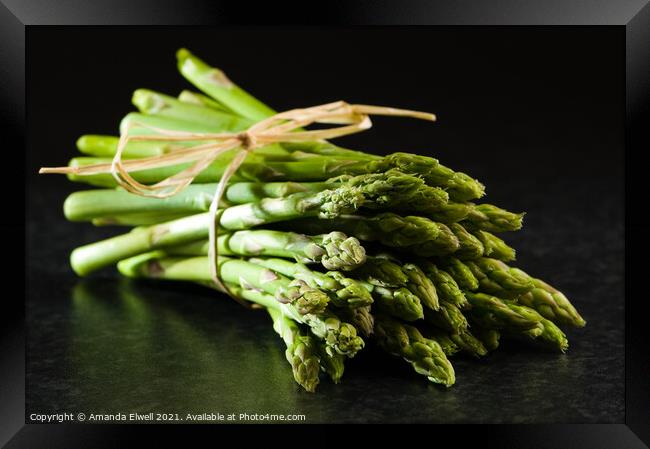 Fresh Asparagus Tips Framed Print by Amanda Elwell