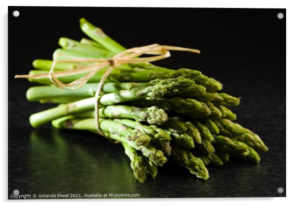 Fresh Asparagus Tips Acrylic by Amanda Elwell