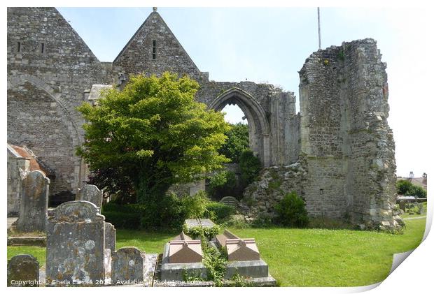 St. Thomas the Martyr Church Ruins in Winchelsea, Sussex, England Print by Sheila Eames