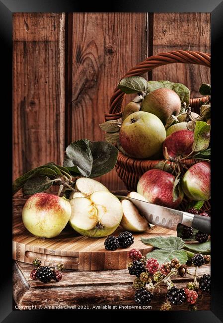 Rustic Apples Framed Print by Amanda Elwell