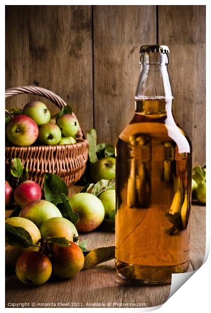 Bottled Cider With Apples Print by Amanda Elwell