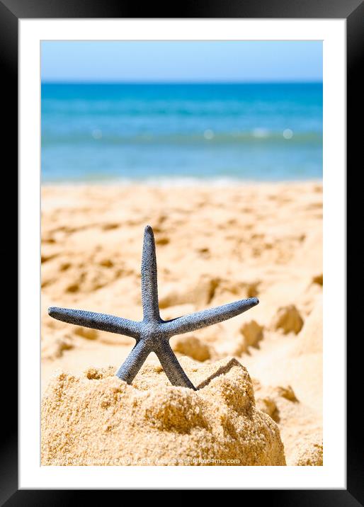 Starfish In Sandcastle Framed Mounted Print by Amanda Elwell
