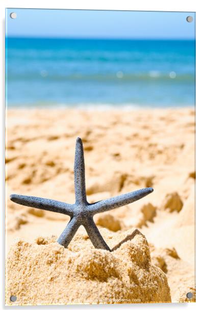 Starfish In Sandcastle Acrylic by Amanda Elwell