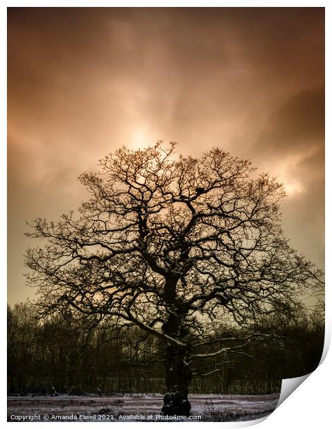 Lone Tree Print by Amanda Elwell