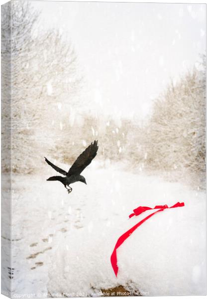 Jackdaw In Snow Canvas Print by Amanda Elwell