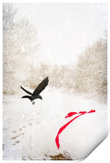 Jackdaw In Snow Print by Amanda Elwell