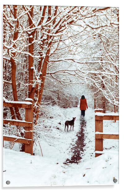 Woman Walking Dog Acrylic by Amanda Elwell