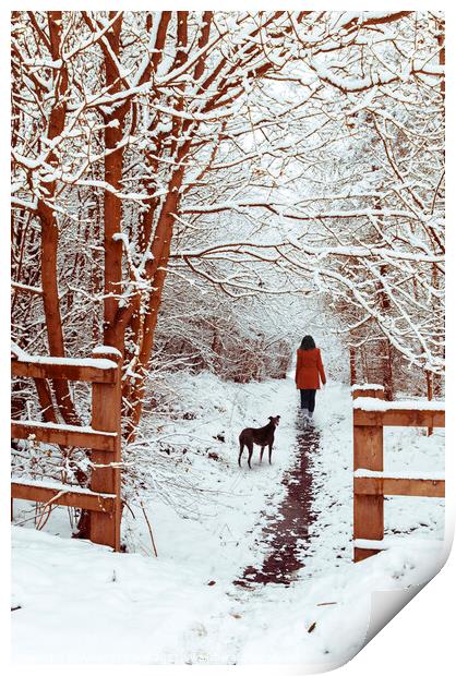Woman Walking Dog Print by Amanda Elwell