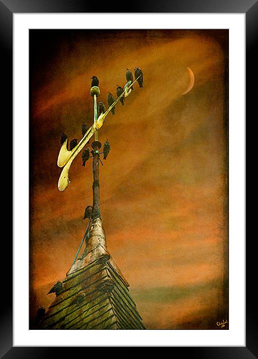 The Steeple Starlings Framed Mounted Print by Chris Lord