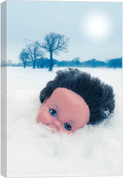 Dolls Head In Snow Canvas Print by Amanda Elwell