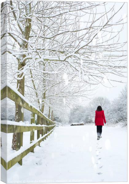 Woman In Red Coat Canvas Print by Amanda Elwell