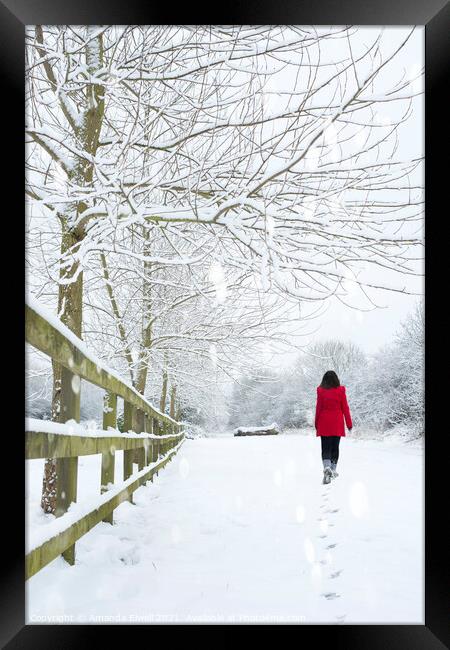 Woman In Red Coat Framed Print by Amanda Elwell