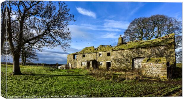Old farm on the moors Canvas Print by Ed Whiting