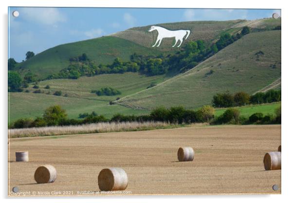 Majestic White Horse on Hillside Acrylic by Nicola Clark
