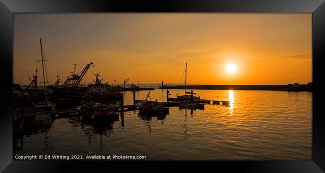 Sunrise over Newlyn Harbour Framed Print by Ed Whiting
