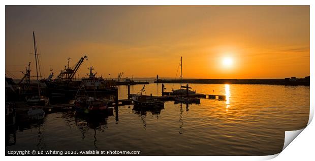 Sunrise over Newlyn Harbour Print by Ed Whiting