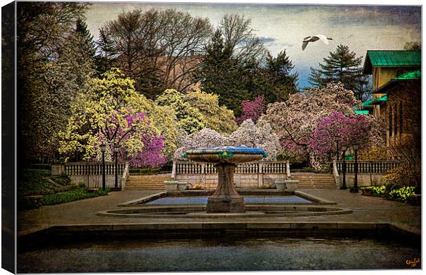 Rainy Day In Magnolia Season Canvas Print by Chris Lord