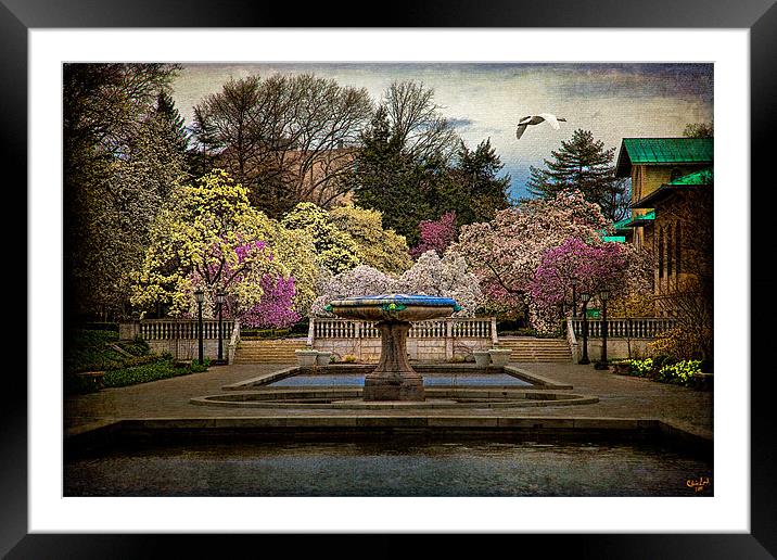 Rainy Day In Magnolia Season Framed Mounted Print by Chris Lord