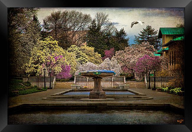 Rainy Day In Magnolia Season Framed Print by Chris Lord