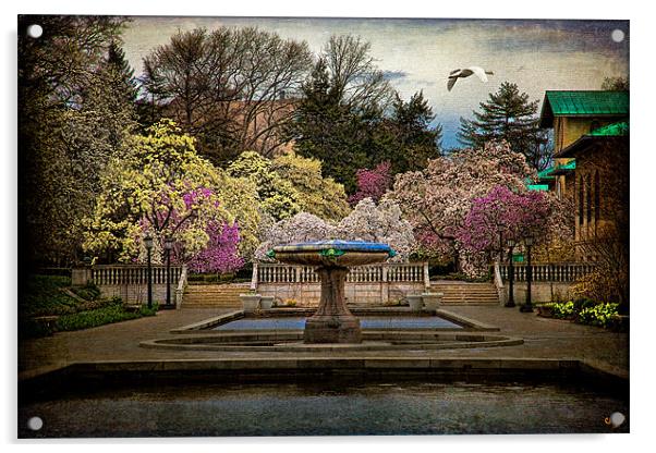 Rainy Day In Magnolia Season Acrylic by Chris Lord