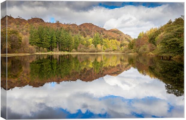 Cumbrian Reflections Canvas Print by David Hare