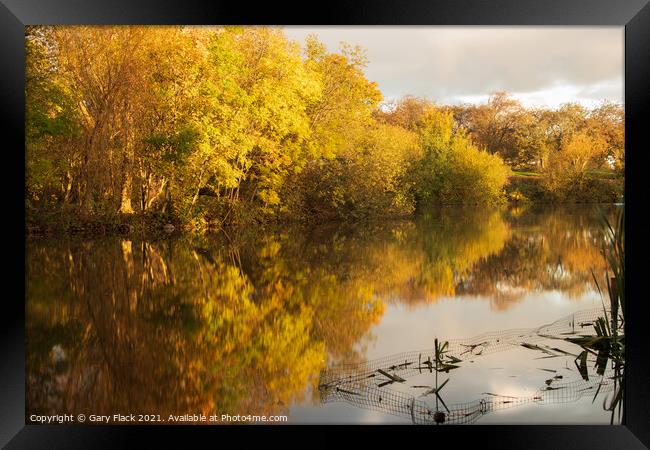 Boating Lake Sandall Park Doncaster in Autumn Framed Print by That Foto