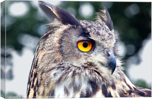 Eagle Owl Canvas Print by Tracey Turner