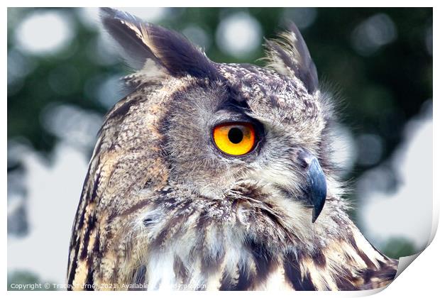 Eagle Owl Print by Tracey Turner