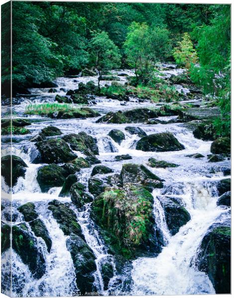 Waterfall surrounded by trees - Swallow Falls Canvas Print by Mehul Patel