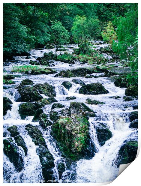 Waterfall surrounded by trees - Swallow Falls Print by Mehul Patel