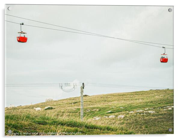 Red cable cars and goats on hill at the Great Orme Country Park above Llandudno, North Wales, UK Acrylic by Mehul Patel