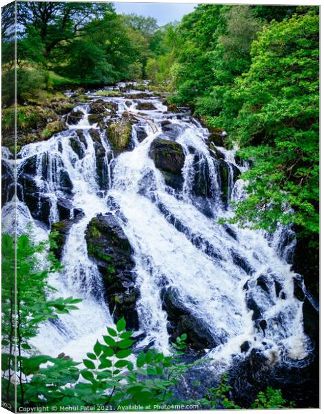 A large waterfall in a forest - Swallow Falls, Wales Canvas Print by Mehul Patel