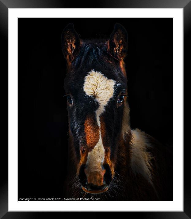Horse Framed Mounted Print by Jason Atack