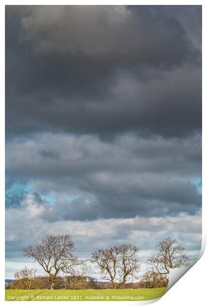 Bare Ash Trees under a Big Winter Sky Print by Richard Laidler