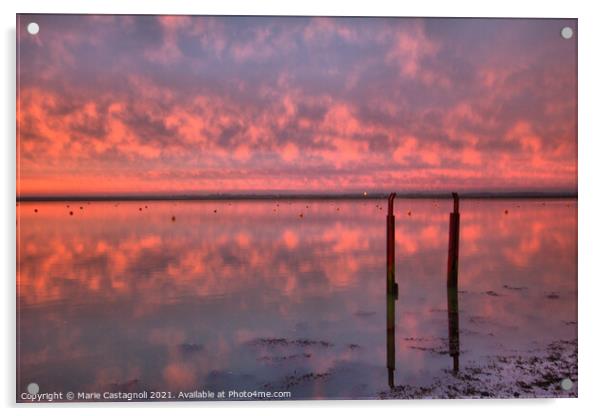 Crimson Reflections Acrylic by Marie Castagnoli