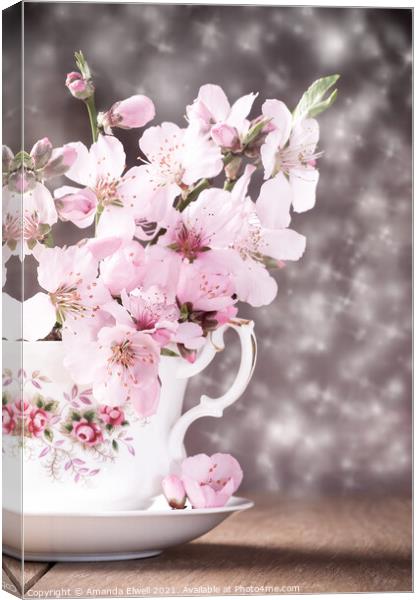 Spring Blossom Canvas Print by Amanda Elwell