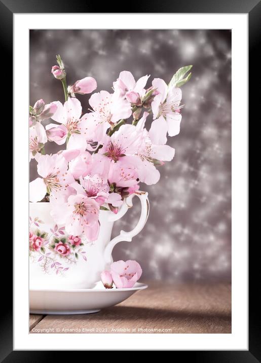 Spring Blossom Framed Mounted Print by Amanda Elwell