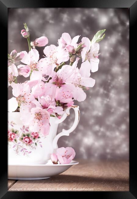 Spring Blossom Framed Print by Amanda Elwell