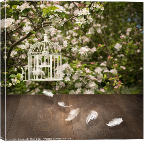 Birdcage With Feathers Canvas Print by Amanda Elwell