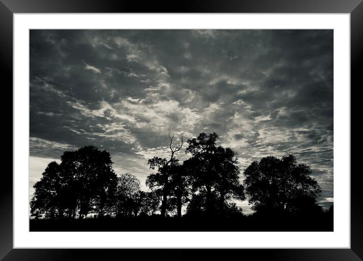 tree Silhouettes Framed Mounted Print by Simon Johnson
