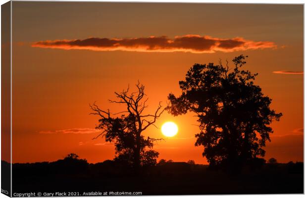 Sunset over Lincolnshire fields - silhouetted Canvas Print by That Foto