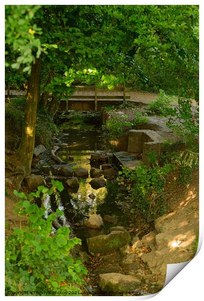 River at Stanton Country PArk Print by Reidy's Photos