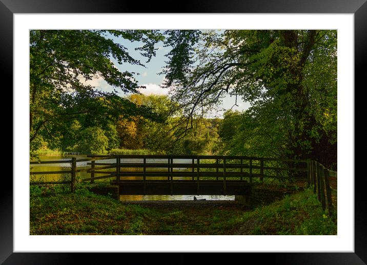 Stanton Country Park Bridge Framed Mounted Print by Reidy's Photos