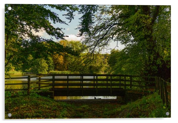 Stanton Country Park Bridge Acrylic by Reidy's Photos